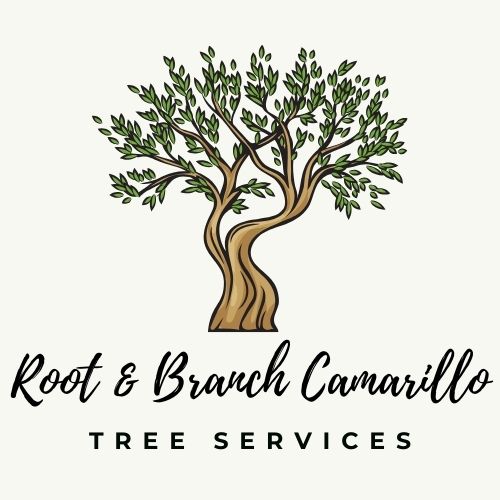 Root & Branch Camarillo Tree Services Logo