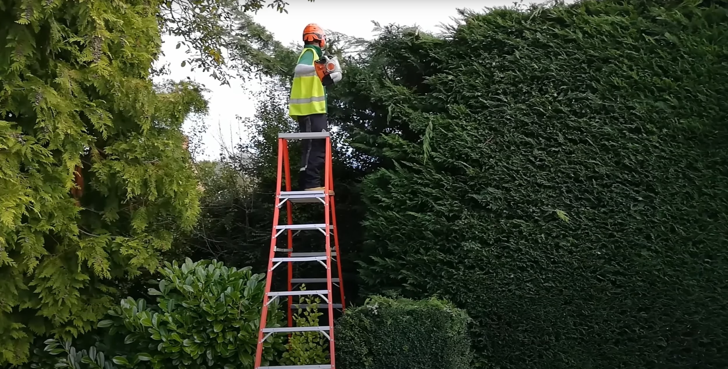 Tree trimming and pruning service using professional equipment